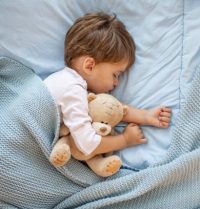 Pourquoi les bébés aiment les peluches ?