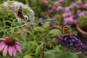 Jardin et maison : apprendre à identifier les insectes les plus courants